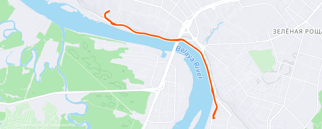 Карта физической активности (Дневной забег)