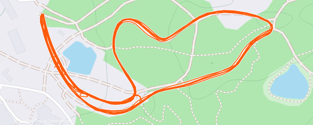 Карта физической активности (Evening Nordic Ski)