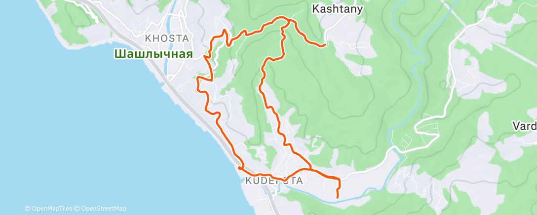 Карта физической активности (Полуденный забег)