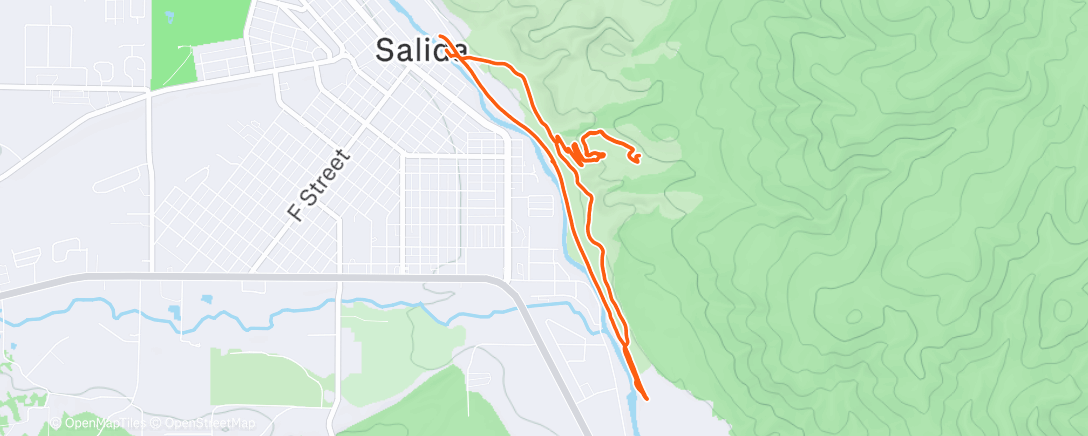 Карта физической активности (Lunch Run)