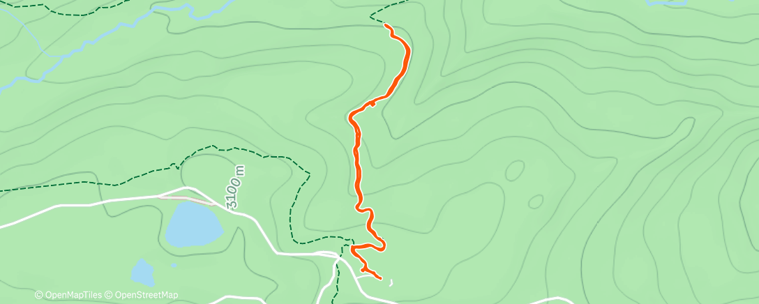 Карта физической активности (Lunch Trail Run)