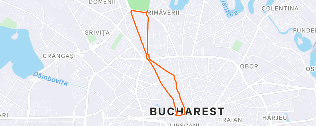 Mapa de la actividad (321marti)