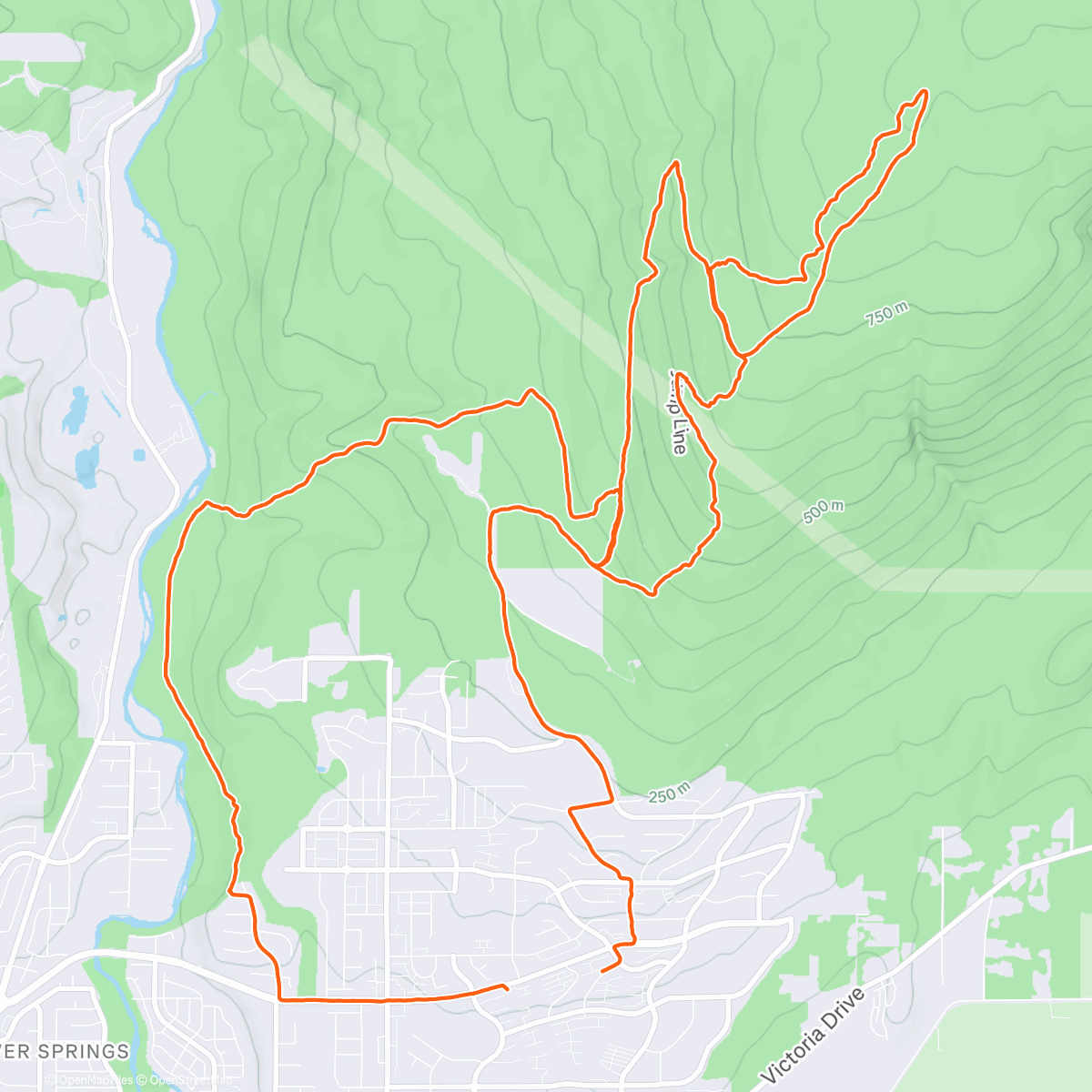 Map of the activity, Probably last mental floss for the year