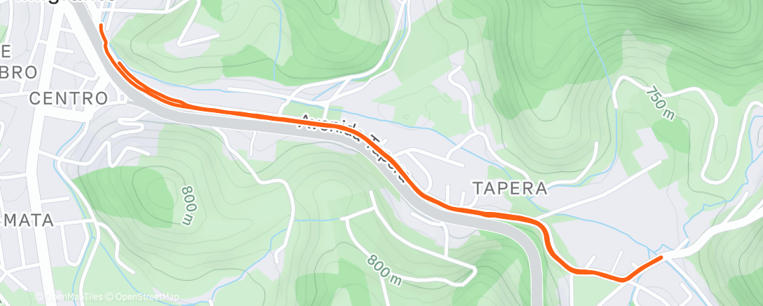 Map of the activity, Evening Run