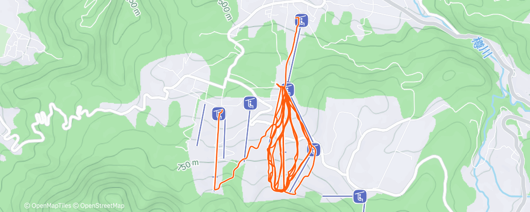 Карта физической активности (ランチタイム アルペンスキー)