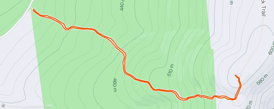 Mapa da atividade, Burton Peak w/ Brady