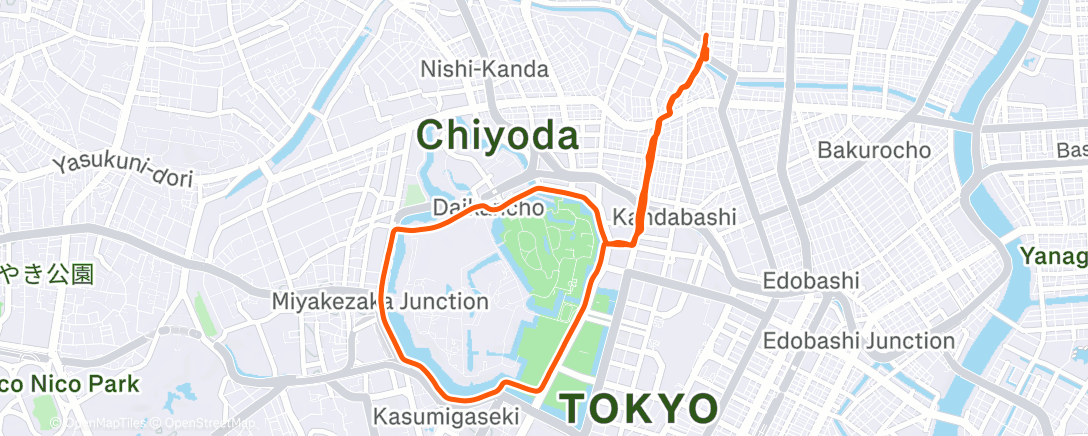 Карта физической активности (Morning Run)