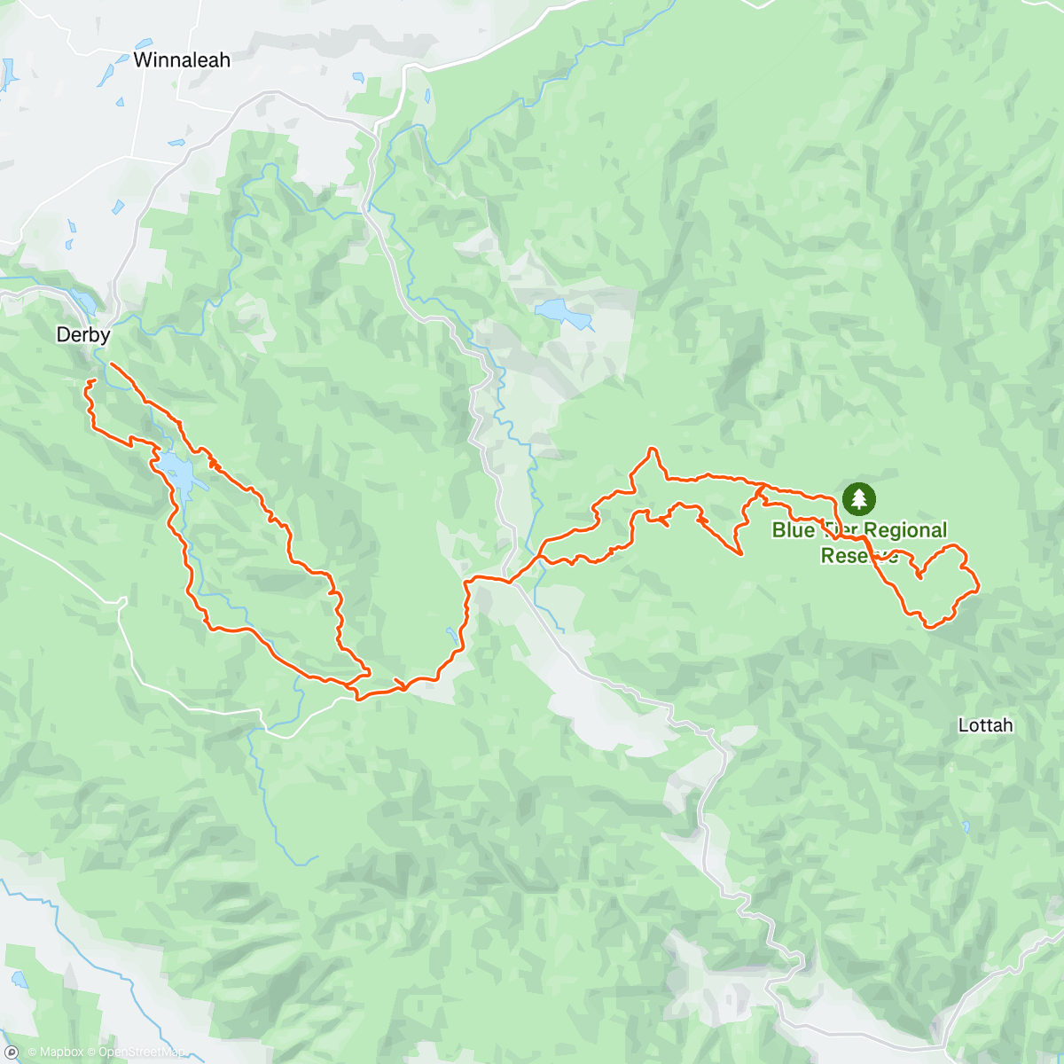 Map of the activity, Adventure with Nico!