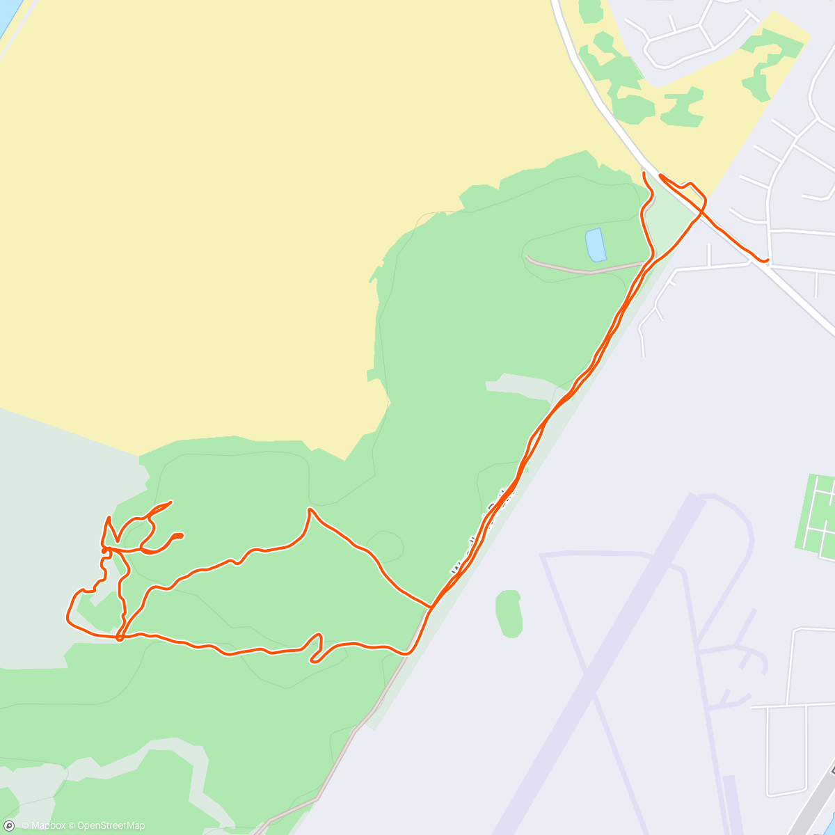 Map of the activity, Afternoon Run with Liv at the Pinewoods 🥰