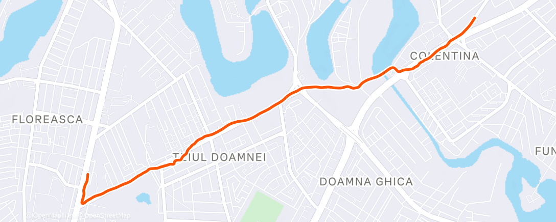 Карта физической активности (Morning Run)