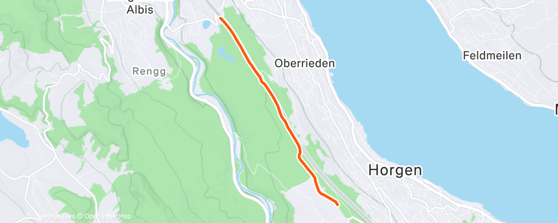 Map of the activity, Morning Trail Run