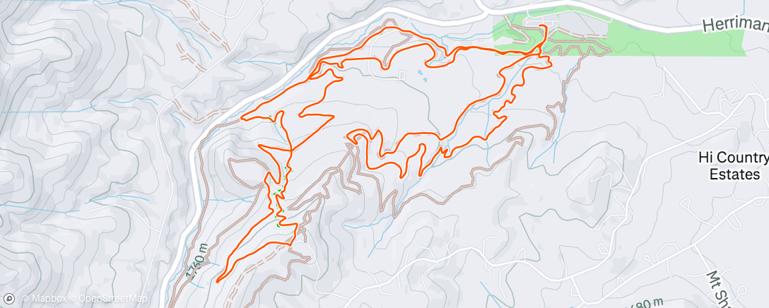 Map of the activity, W Spencer