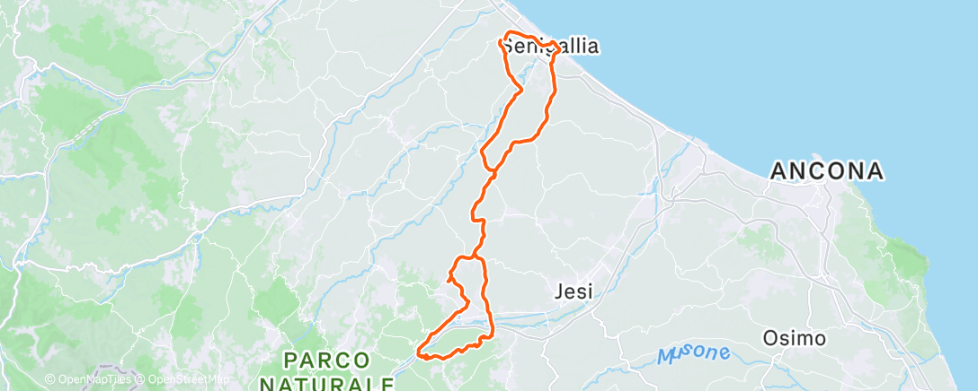 Карта физической активности (Castelli)