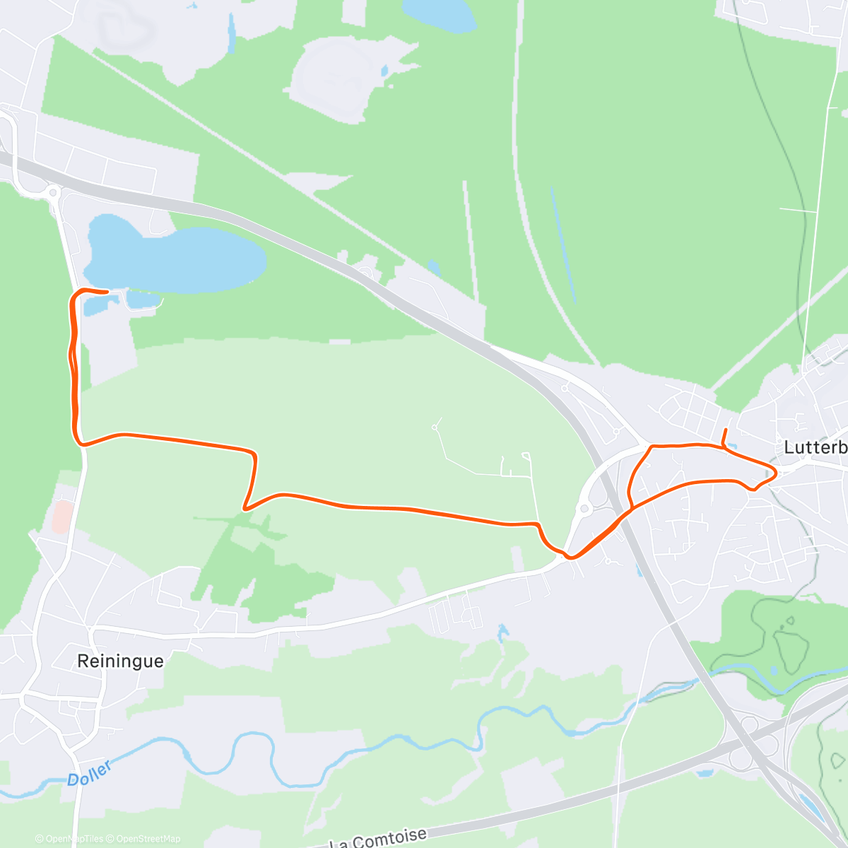 Карта физической активности (Foggy Run)