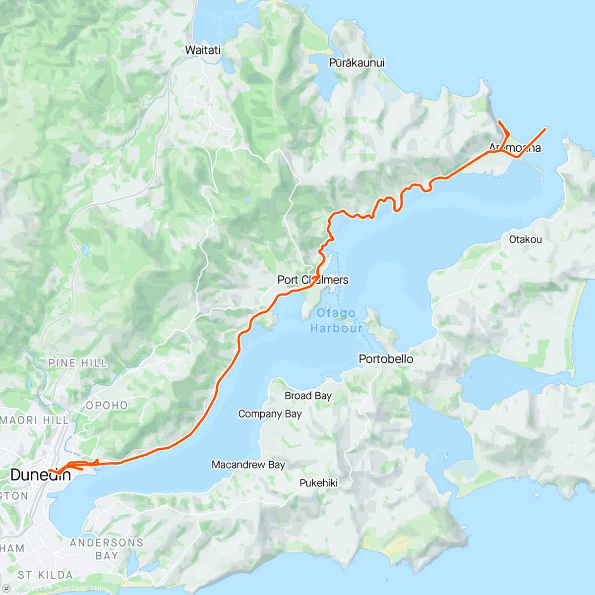 Map of the activity, Port Chalmers and sea lions