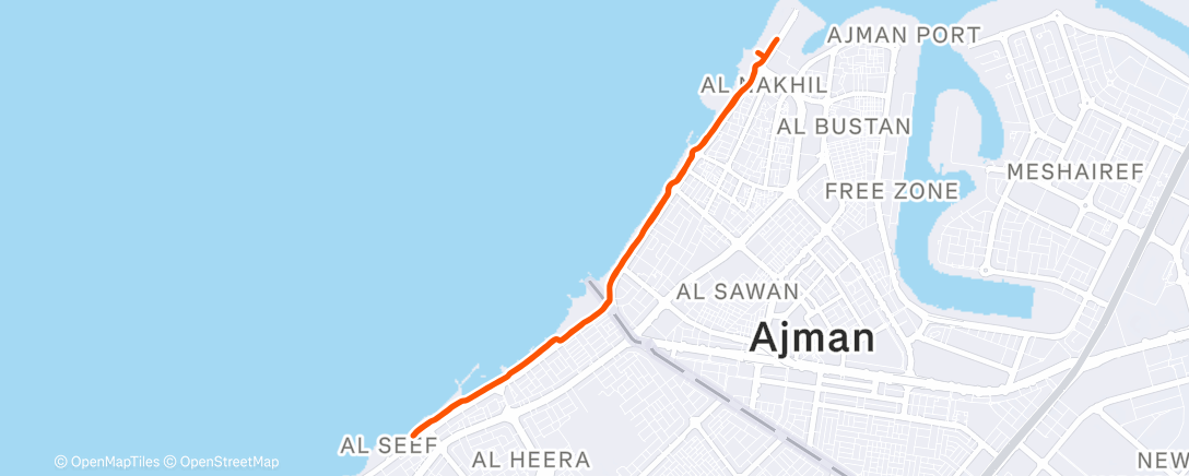 Map of the activity, Утренний забег