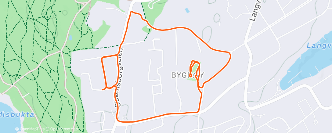 Map of the activity, Evening Run