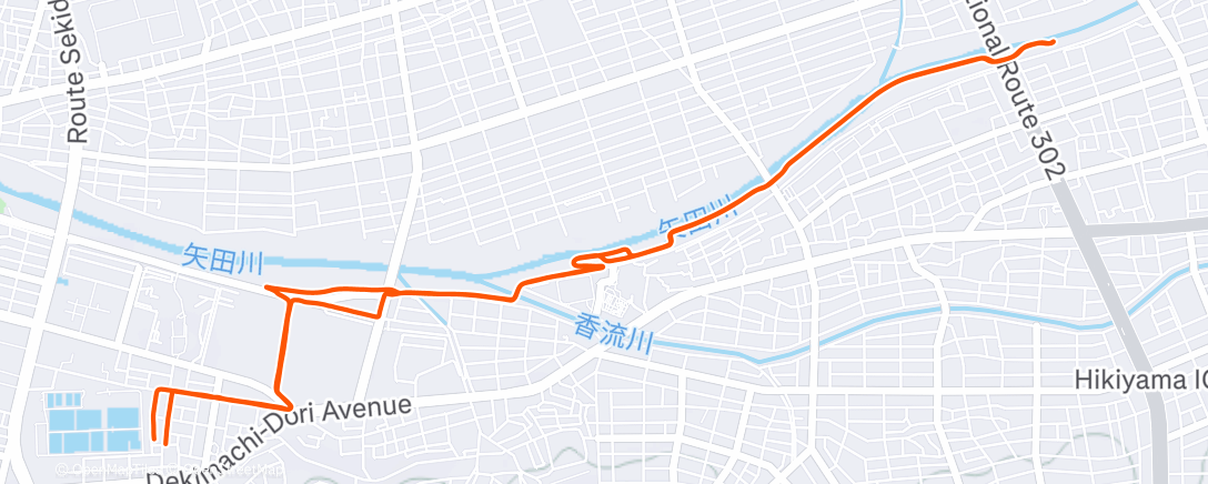 Карта физической активности (乗り納めは息子とキャッチボールライド)