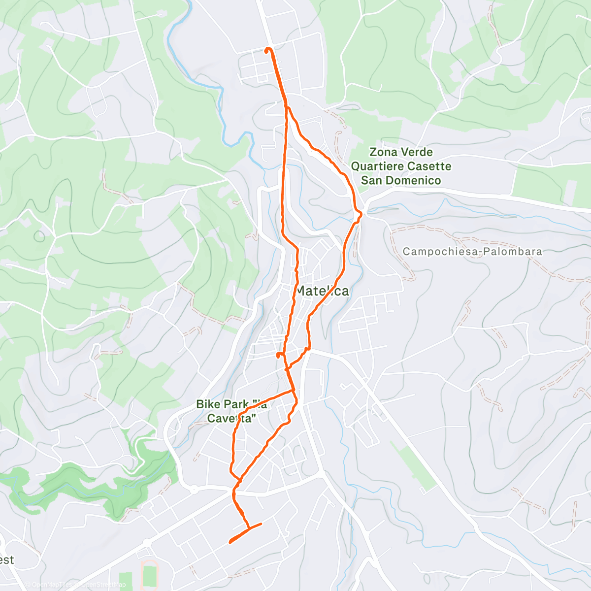 Карта физической активности (🎄)