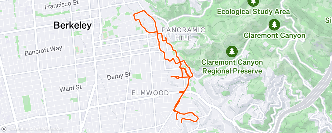 Map of the activity, Morning Run