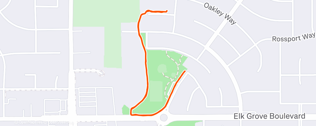 Карта физической активности (Afternoon Walk)