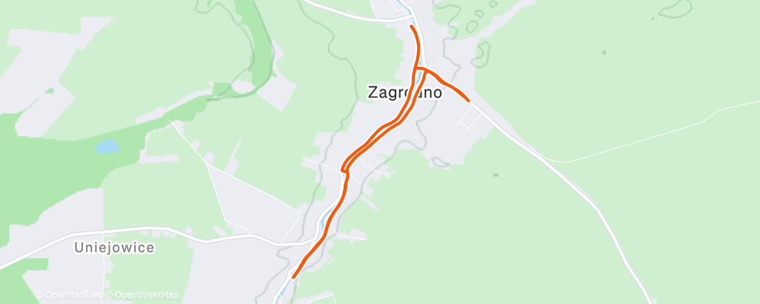 Карта физической активности (Evening Run)