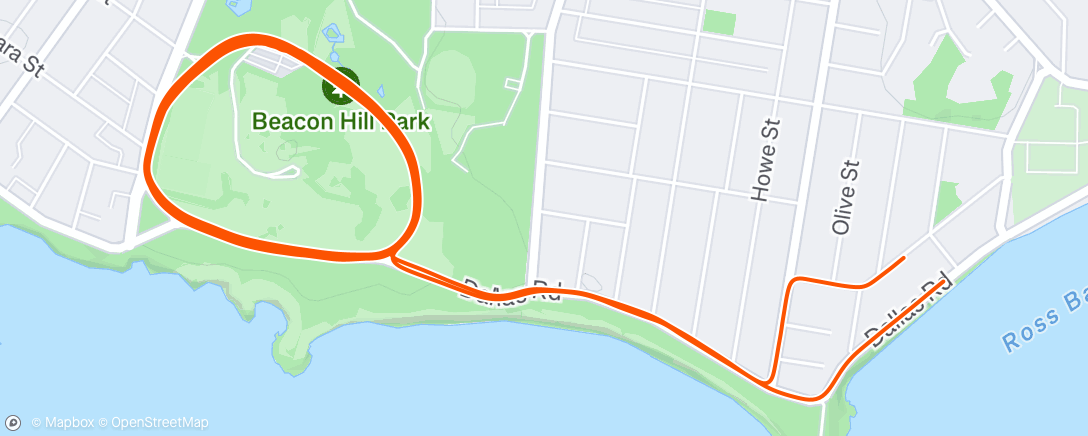 Карта физической активности (Festive 500 #1: What's green and orange and riding at 6am? 108/500km)