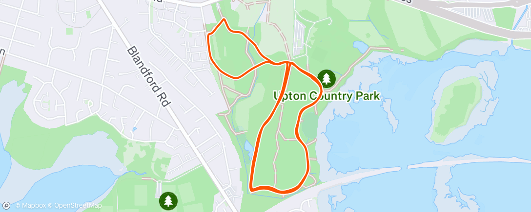 Map of the activity, Morning Run