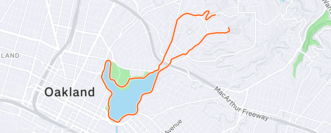 Map of the activity, Morning Run