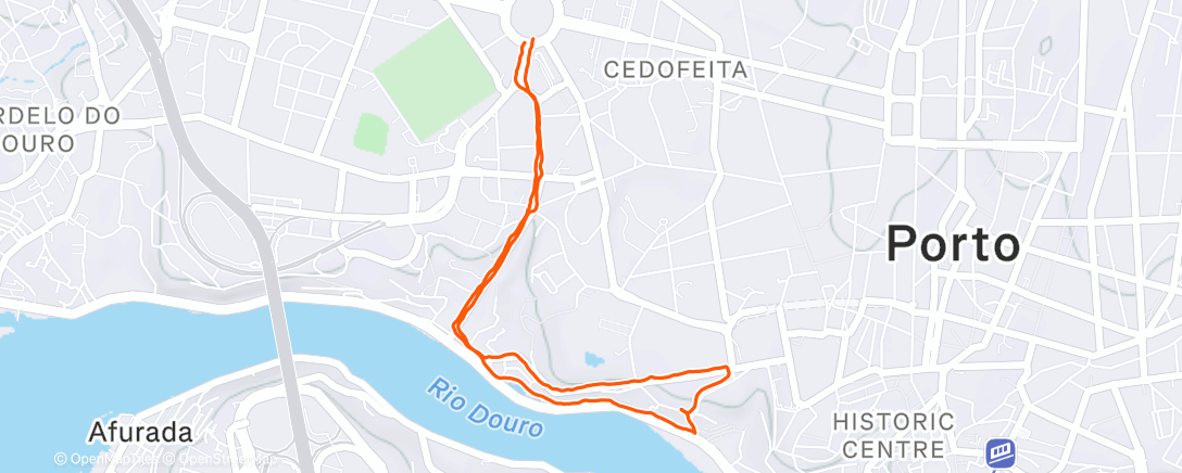 Карта физической активности (Trail run vespertina)