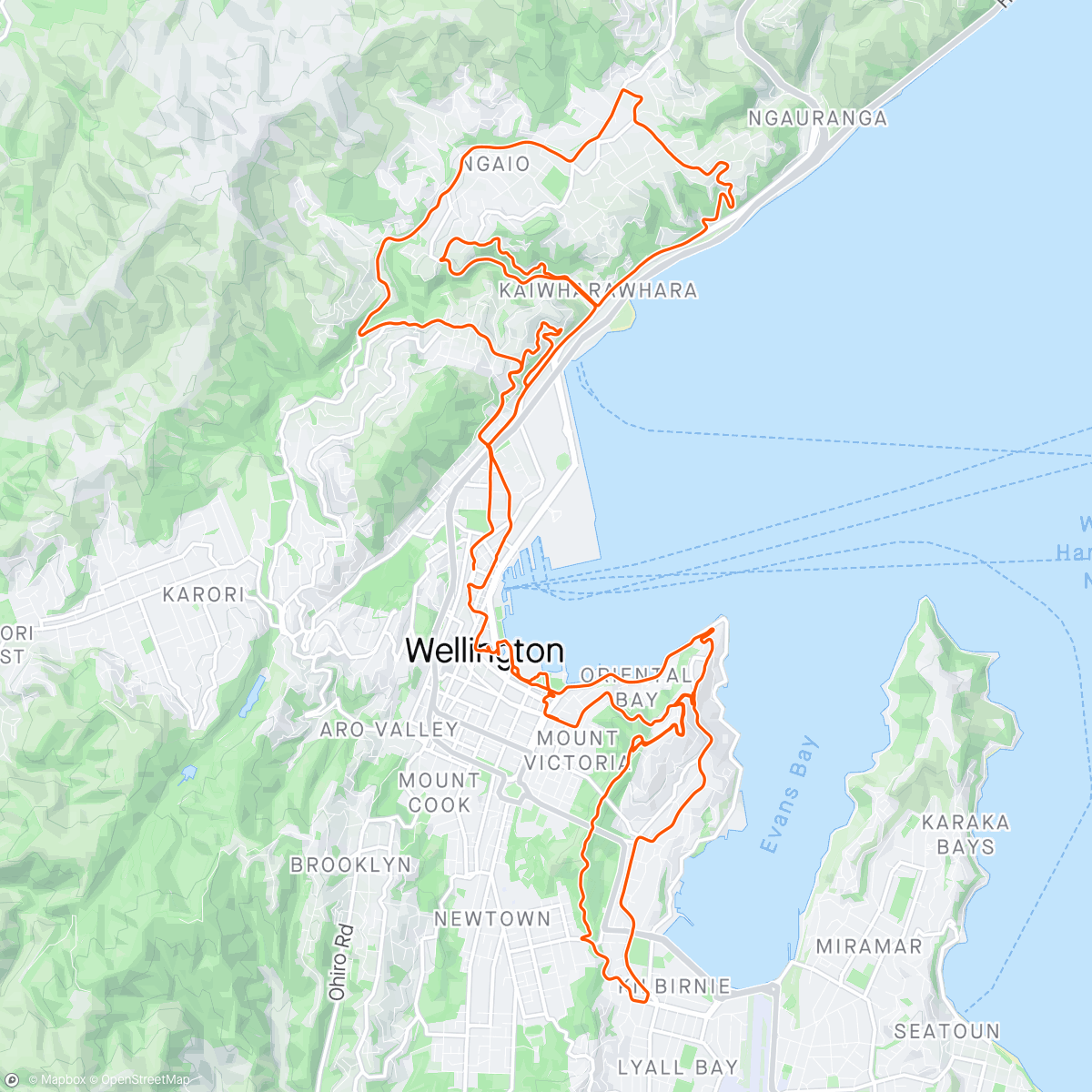 Carte de l'activité Wellington Five Ways - Absolutely stunning and Amazing Climbing!