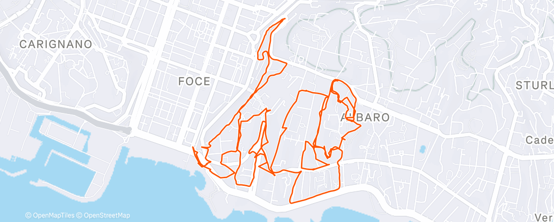 Map of the activity, 🇮🇹 Run 🟡 Genova 🤐 #baserunning on the (western) hill of Albaro