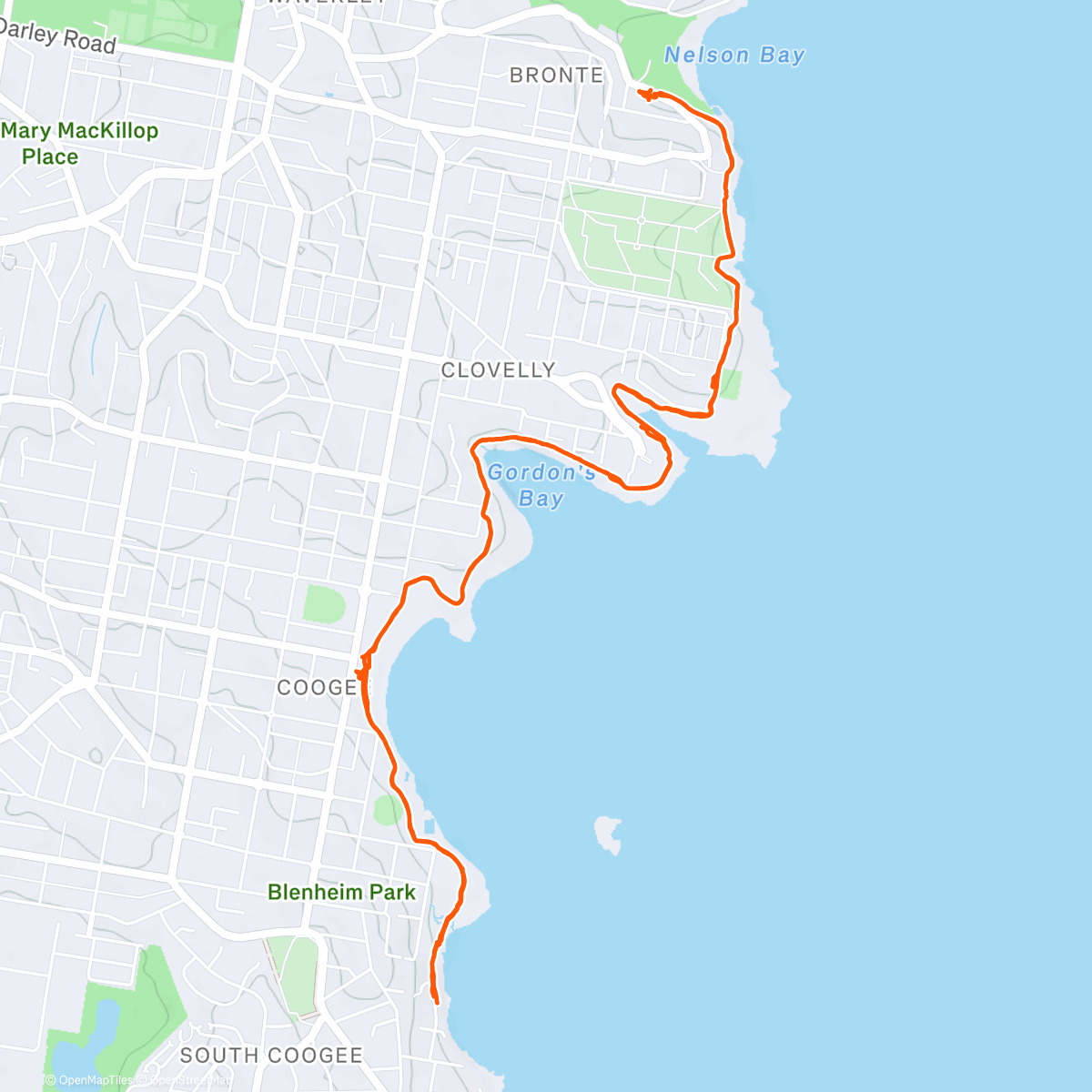 Map of the activity, Walk with Eve, Anastasia, Clara, and Derek (his new name) + swim at Coogee
