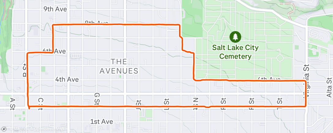 Map of the activity, Morning Run