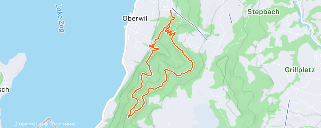 Map of the activity, I like turtles.