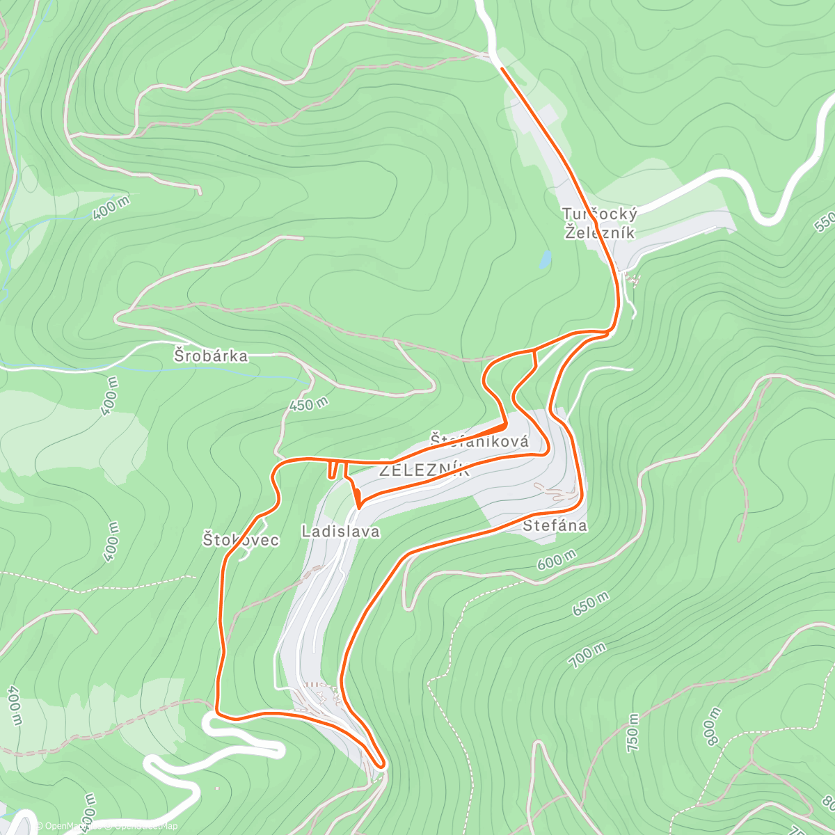 Map of the activity, Morning Run