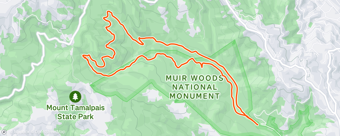 Map of the activity, Morning Trail Run