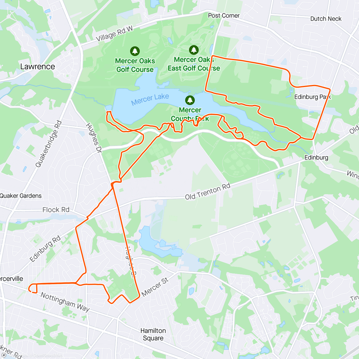 Map of the activity, Tempo of the dog