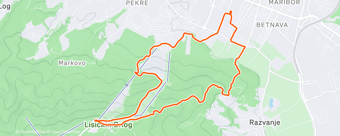 Map of the activity, Morning Trail Run Pohorje v snegu 🌨