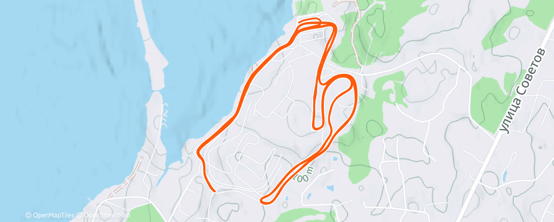 Map of the activity, Северный лыжный заезд (утро)