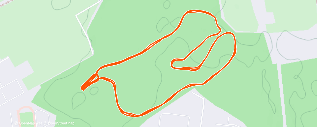 Карта физической активности (Afternoon Nordic Ski)