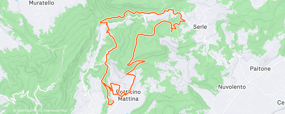 Карта физической активности (Sunday Morning Run)