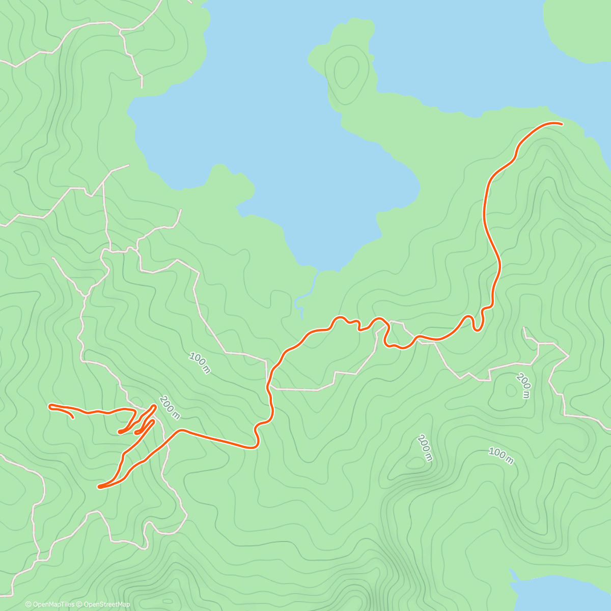 Map of the activity, Zwift - Foundation on Jungle Circuit in Watopia