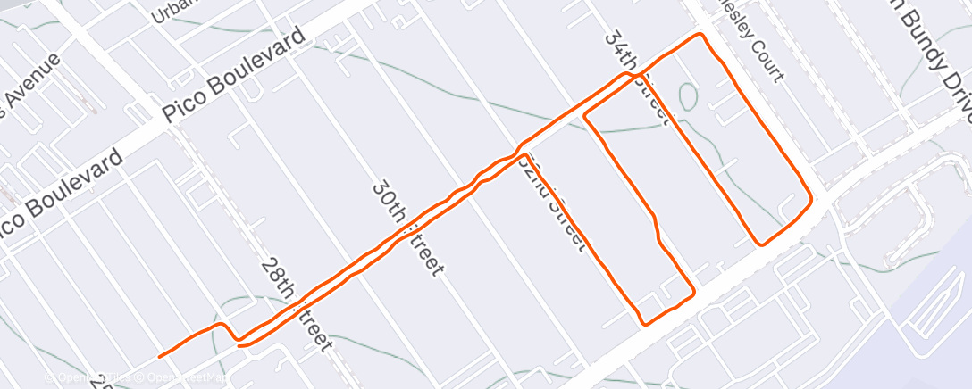 Map of the activity, Evening Run