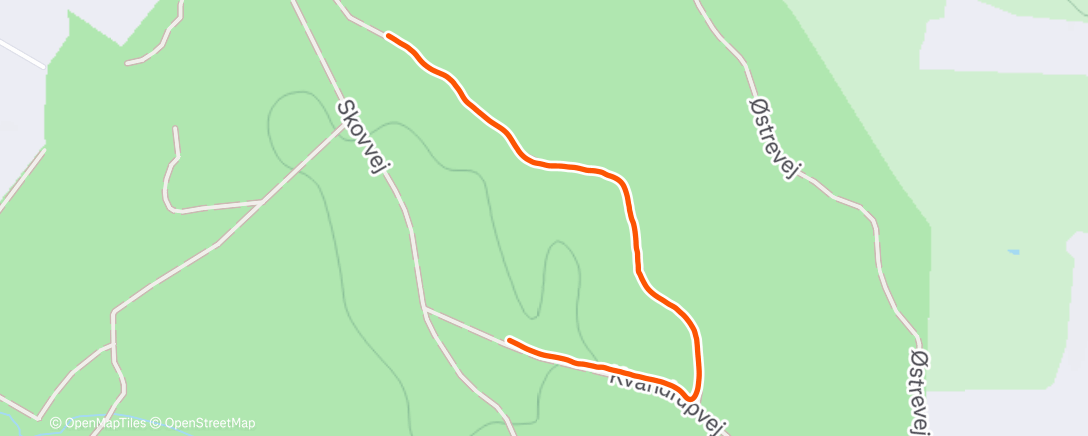 Map of the activity, Morning Trail Run