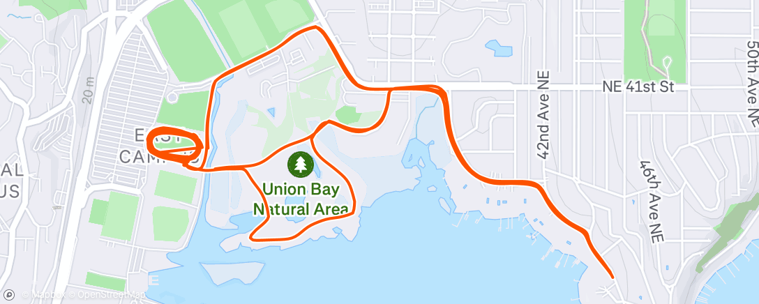 Mapa de la actividad (5x3x300)