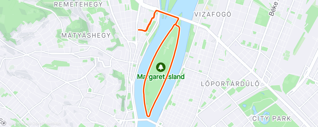 Map of the activity, Morning Run 🌧️