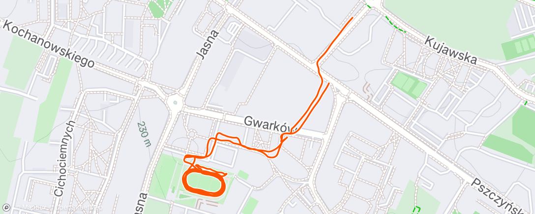 Карта физической активности (Evening Run)