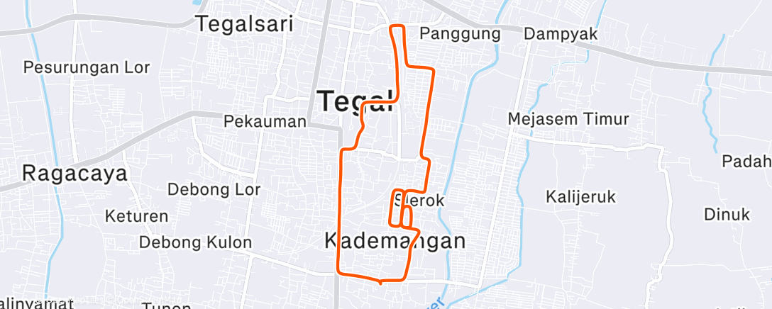 Map of the activity, Morning Run