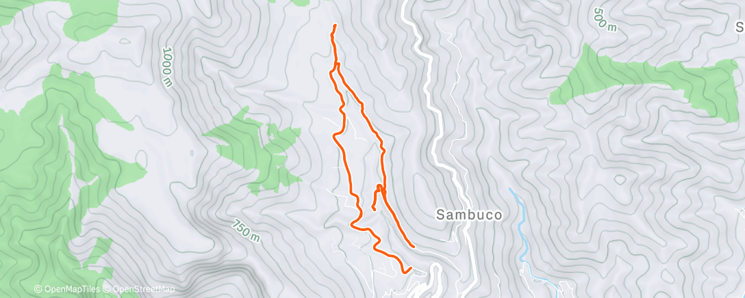 Карта физической активности (Morning Run)